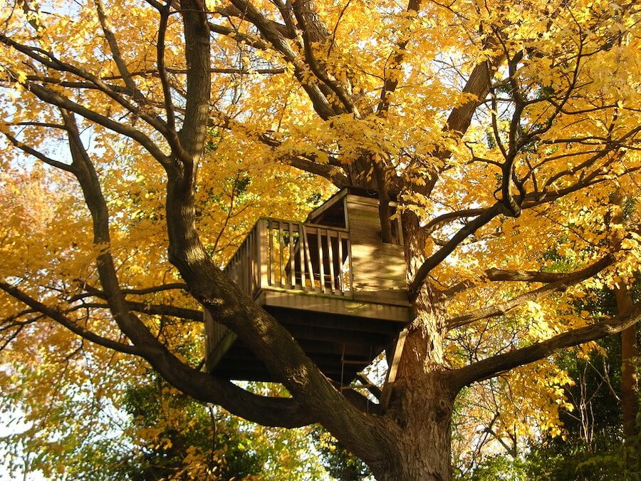 How Big Does A Tree Need To Be For A Treehouse