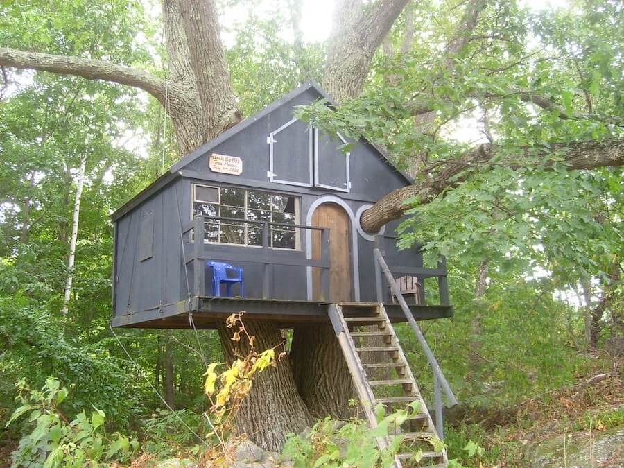 What Is the Life Expectancy of a Treehouse